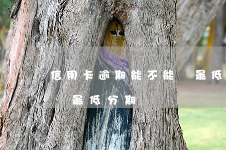 信用卡逾期能不能還最低(信用卡逾期能不能還最低分期)