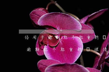 信用卡逾期能不能重新辦理借記卡-信用卡逾期能不能重新辦理借記卡呢