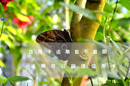 信用卡逾期能不能開(kāi)通借唄(借唄逾期可以辦理信用卡)