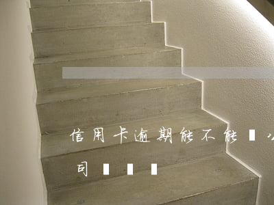 信用卡逾期能不能開公司(信用卡逾期影響公司開戶嗎)