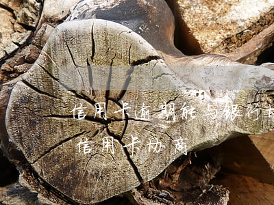 信用卡逾期能与银行协调处理么(逾期很久的信用卡协商)