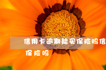 信用卡逾期能买保险吗(信用卡逾期了,可以买保险吗)