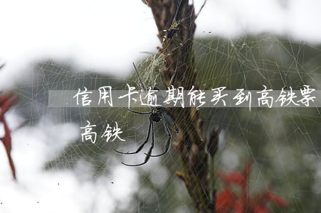 信用卡逾期能买到高铁票吗(逾期多会不能买高铁)