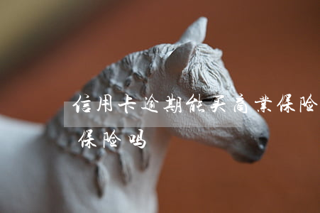 信用卡逾期能买商业保险吗(征信逾期可以买保险吗)