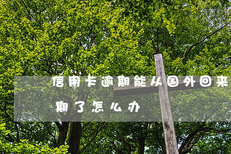 信用卡逾期能从国外回来么(国外的信用卡逾期了怎么办)
