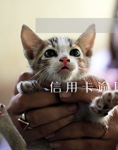 信用卡逾期能代換嗎(逾期卡怎么代還)