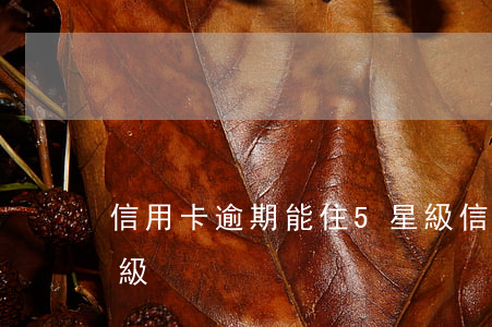 信用卡逾期能住5星級(信用卡逾期能住5星級)