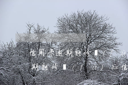 信用卡逾期能修復(fù)征信嗎(信用卡逾期能修復(fù)征信嗎)