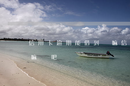信用卡逾期能借到錢嘛(信用卡逾期能借到錢嘛貼吧)