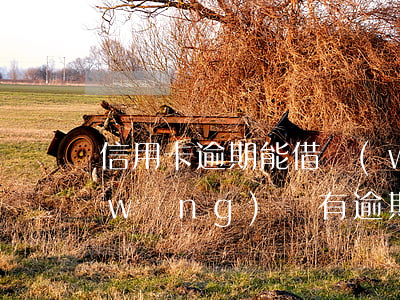 信用卡逾期能借網(wǎng)貸嘛-網(wǎng)貸有逾期能不能辦信用卡
