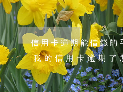 信用卡逾期能借錢的平臺(tái)(朋友借我的信用卡逾期了怎么辦)