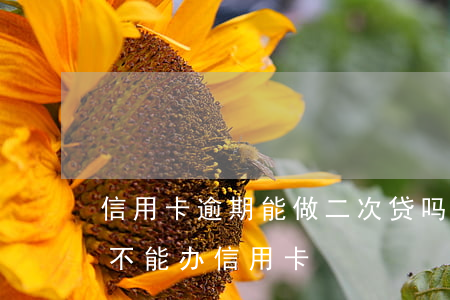 信用卡逾期能做二次贷吗(网贷逾期过一次能不能办信用卡)