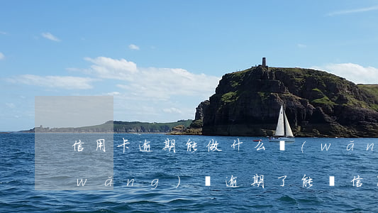信用卡逾期能做什么網(wǎng)貸(網(wǎng)貸逾期了能辦信用卡嗎)