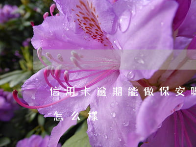 信用卡逾期能做保安嗎(做信用卡逾期管理員怎么樣)