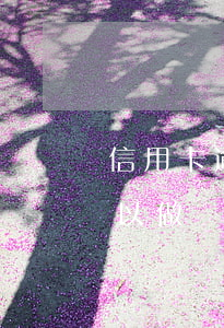 信用卡逾期能做個人擔保嗎(有信用卡欠款可以做擔保人嗎)