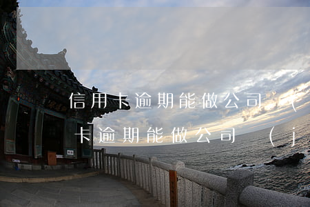信用卡逾期能做公司監(jiān)事(信用卡逾期能做公司監(jiān)事)