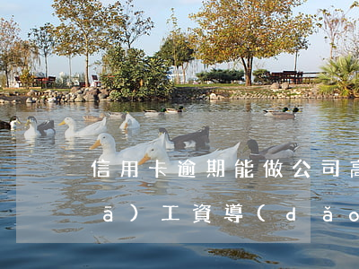 信用卡逾期能做公司高管嗎(公司推遲發(fā)工資導(dǎo)致信用卡逾期)