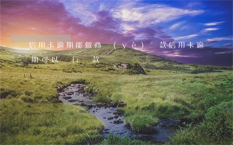 信用卡逾期能做商業(yè)貸款(信用卡逾期可以銀行貸款嗎)