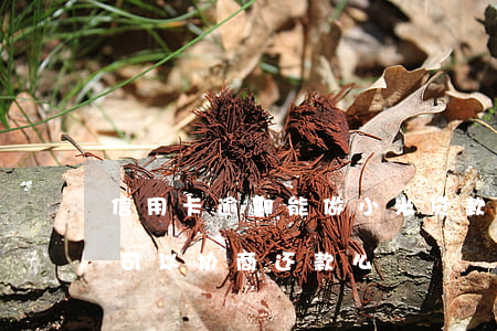 信用卡逾期能做小米贷款吗(小米贷款逾期后可以协商还款么)