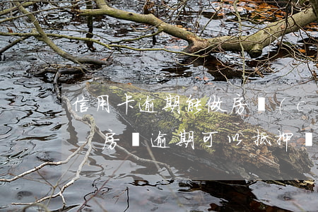 信用卡逾期能做房產(chǎn)抵押貸款-房貸逾期可以抵押嗎