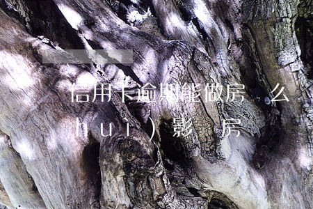 信用卡逾期能做房貸么(銀行信用卡逾期會(huì)影響房貸嗎)