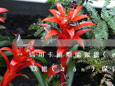 信用卡逾期能做擔(dān)保嗎 有逾期可以擔(dān)保貸款嗎