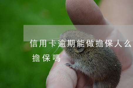 信用卡逾期能做擔保人么(信用卡有欠款可以擔保嗎)