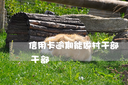 信用卡逾期能做村干部嗎(信用卡逾期能做村干部嗎)