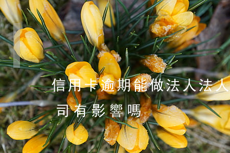 信用卡逾期能做法人(法人辦信用卡逾期對公司有影響嗎)