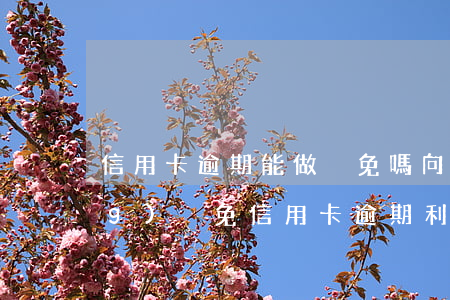 信用卡逾期能做減免嗎 向銀行申請(qǐng)減免信用卡逾期利息怎么申請(qǐng)