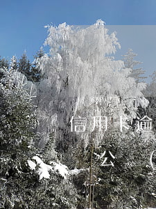 信用卡逾期能做老師嗎知乎 有信用卡逾期影響公務(wù)員政審嗎