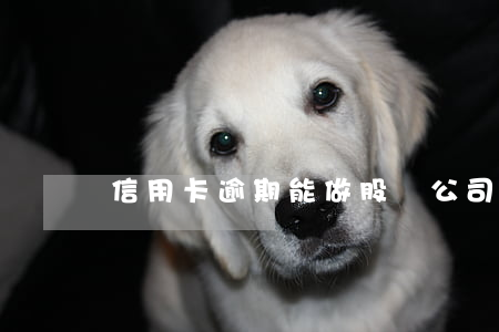 信用卡逾期能做股東 公司股東不能辦信用卡