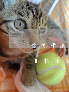 信用卡逾期能做貸款擔(dān)保嗎(銀行貸款逾期擔(dān)保人信用有影響嗎)