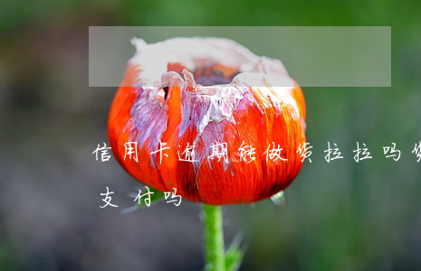 信用卡逾期能做货拉拉吗(货拉拉可以信用卡支付吗)