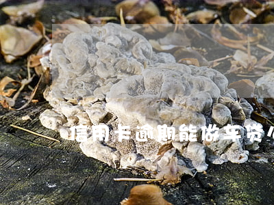 信用卡逾期能做车贷么