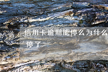 信用卡逾期能停么(为什么信用卡没有逾期被停了?)