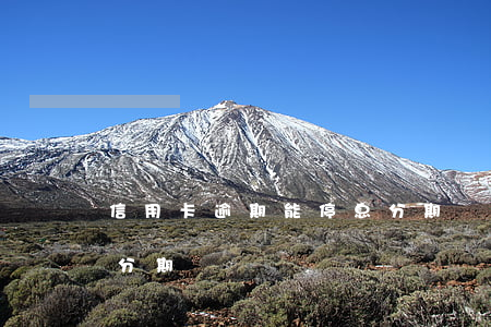信用卡逾期能停息分期嗎(逾期的信用卡可以分期嗎)