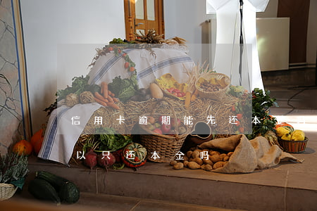 信用卡逾期能先还本金吗(信用卡逾期三年可以只还本金吗)