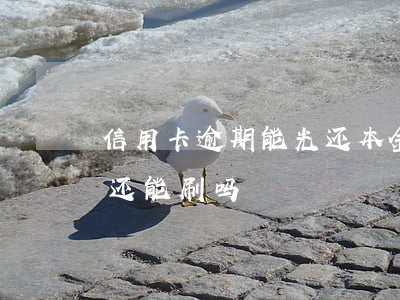 信用卡逾期能光还本金吗(逾期的信用卡还了还能刷吗)