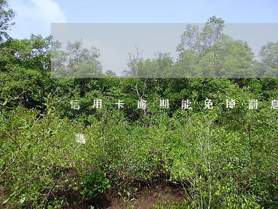 信用卡逾期能免掉罰息嗎(逾期罰息可以免除嗎)
