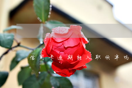 信用卡逾期能入职顺丰吗
