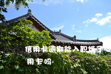 信用卡逾期能入职饿了么(饿了么可以申请信用卡吗)
