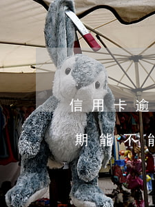 信用卡逾期能再辦儲(chǔ)蓄卡嗎(有逾期能不能辦理信用卡)
