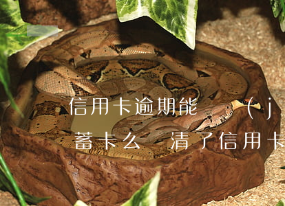 信用卡逾期能凍結(jié)儲(chǔ)蓄卡么(還清了信用卡逾期款為啥被銀行把卡凍結(jié)了)