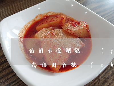 信用卡逾期能凍結(jié)支付寶微信嗎(欠信用卡被執(zhí)行了微信支付會(huì)凍結(jié)嗎?)