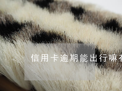 信用卡逾期能出行嘛(有信用卡逾期的嗎?)