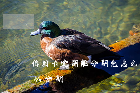 信用卡逾期能分期免息么-逾期的信用卡可以分期嗎