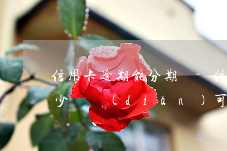 信用卡逾期能分期嗎-信用卡逾期能分期嗎少還點(diǎn)可以嗎