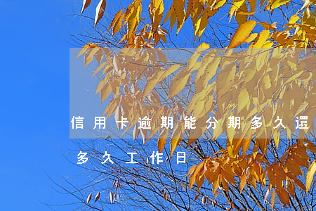 信用卡逾期能分期多久還款(信用卡 逾期可以多久 工作日)