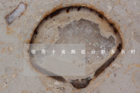 信用卡逾期能分期多长时间(信用卡 逾期 分期)